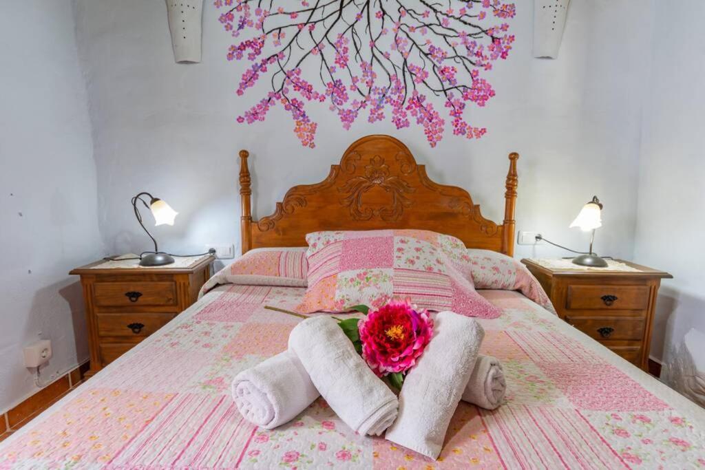 Casa Rosa, Con Encanto Y Piscina Climatizada フリヒリアナ エクステリア 写真